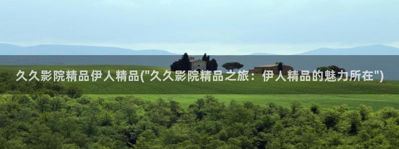 伊人久久亚洲AV影院