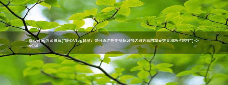 糖心vlog网