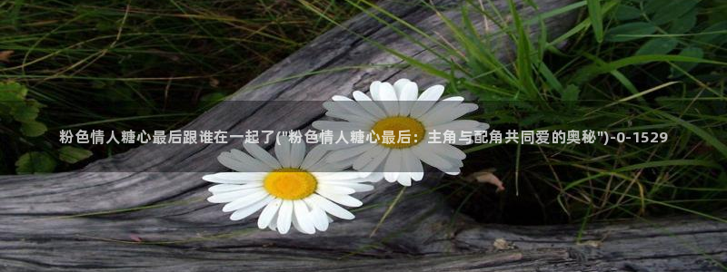糖心破解版vlog下载