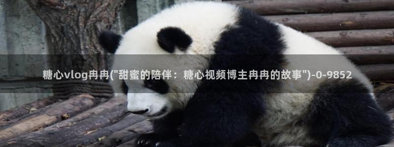糖心vlog破解版入口
