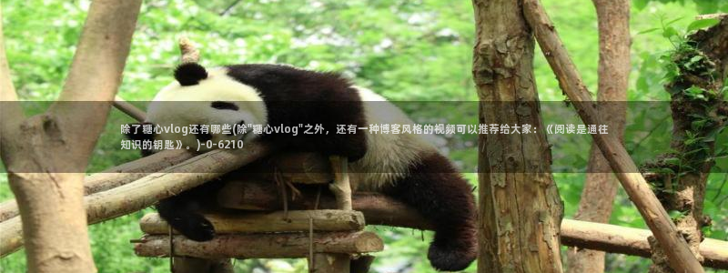 糖心vlog桃子酱