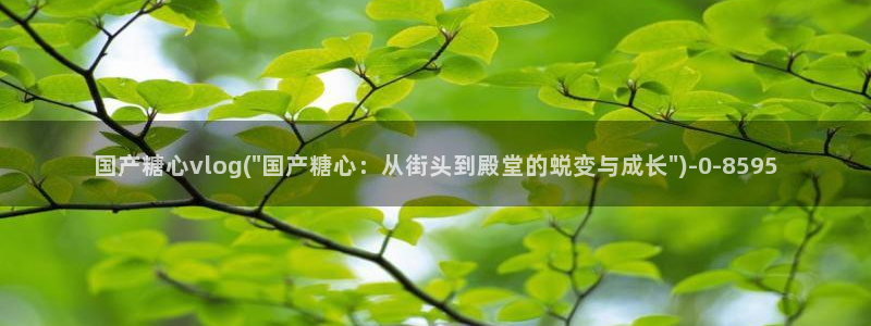 txvlogcom糖心