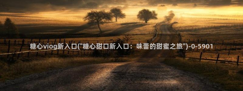 糖心vlog破解在线