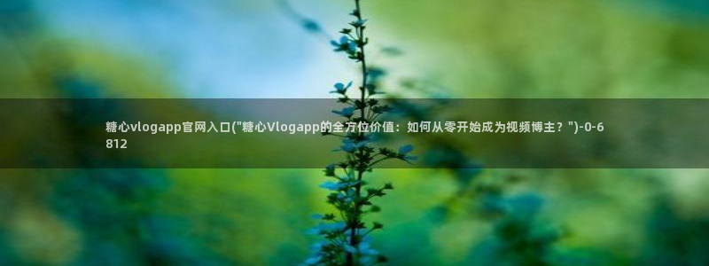 糖心vlog破解版下载www