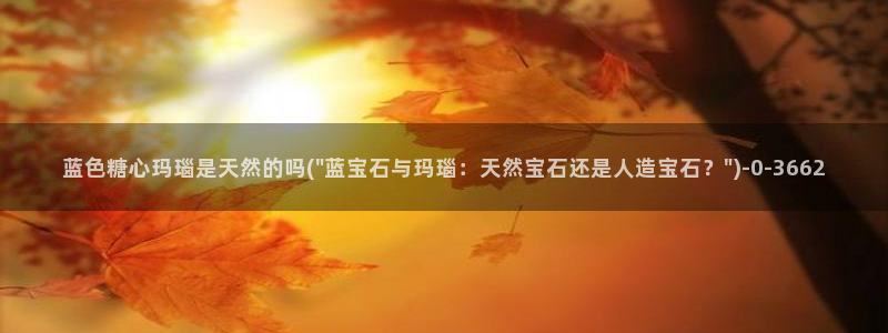 心糖vlog在线
