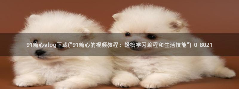 糖心vlog视频破解版