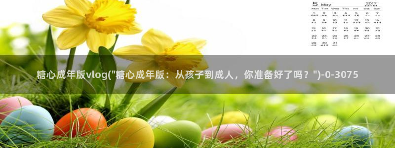 糖心vlog视频在线播放
