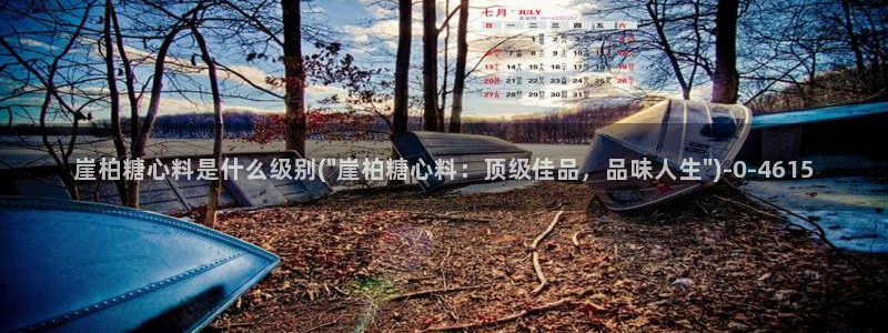 糖心vlog极品