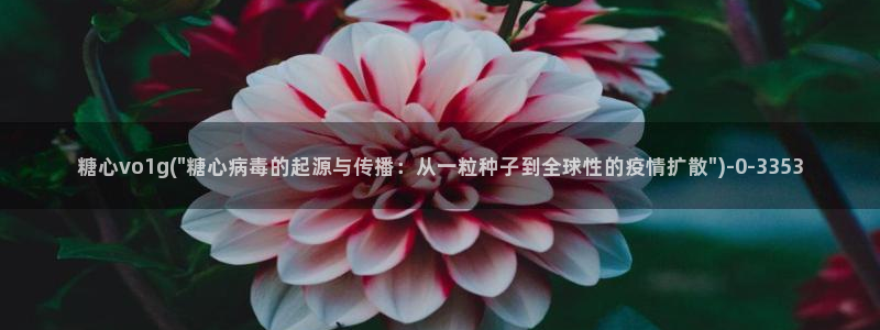 糖心传媒vlog