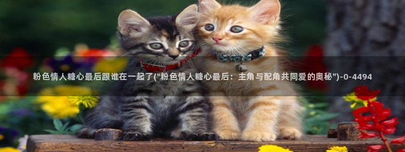 糖心视频vlog：粉色情人糖心最后跟谁在一起了(\