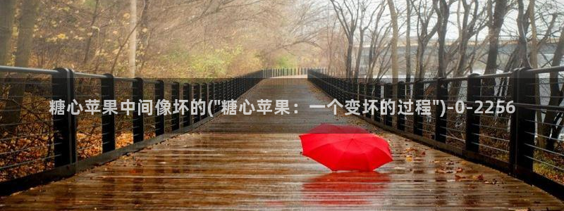 糖心在线观看vlog